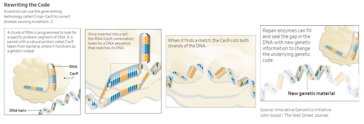Genetic editing – a new era – A Learning a Day